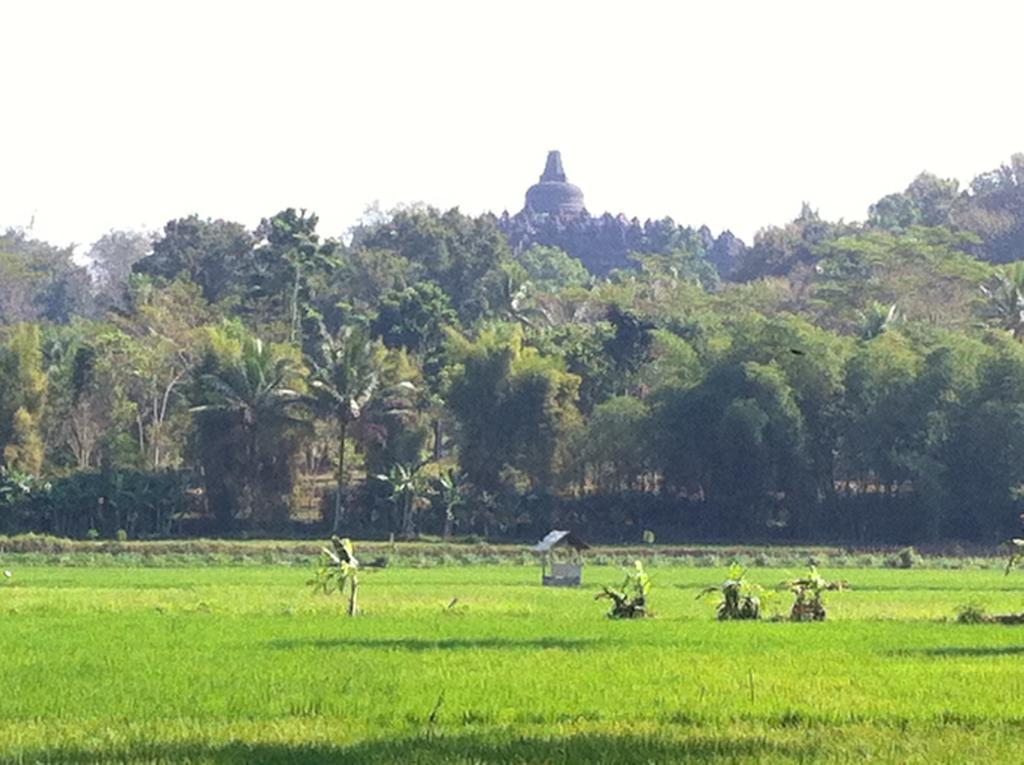 Anugrah Borobudur Magelang Buitenkant foto