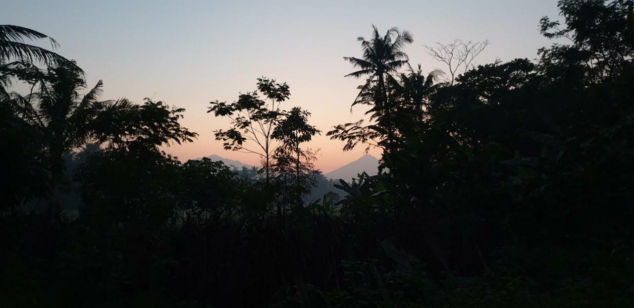 Anugrah Borobudur Magelang Buitenkant foto